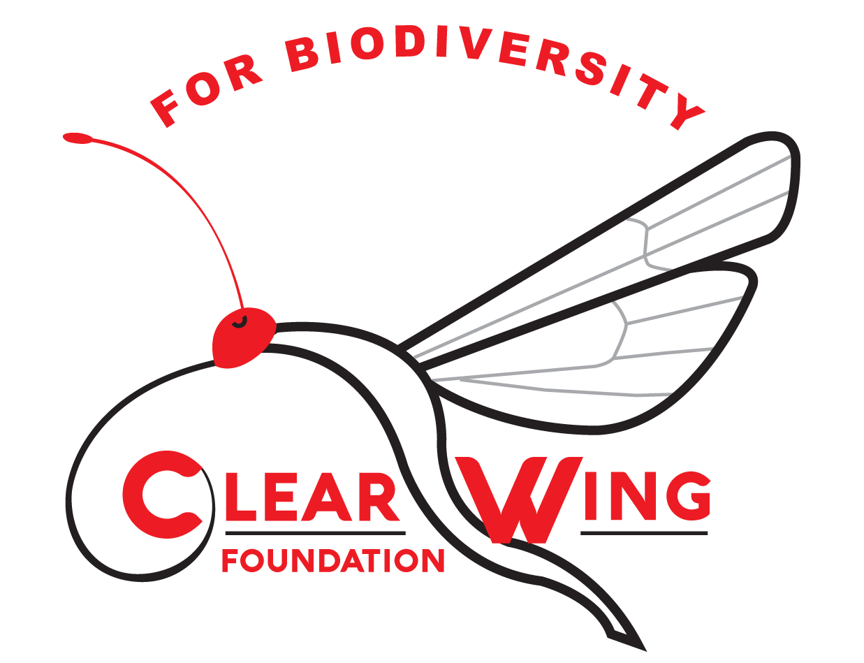 Clearwing Foundation